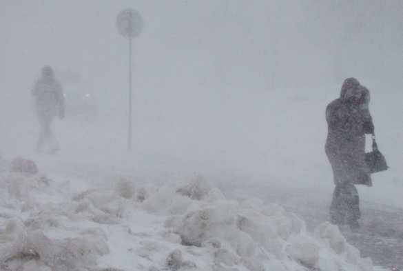 Сильнейшие снегопады в Сочи и Краснодаре: Кубань накрыло мощным циклоном (ФОТО, ВИДЕО) | Русская весна