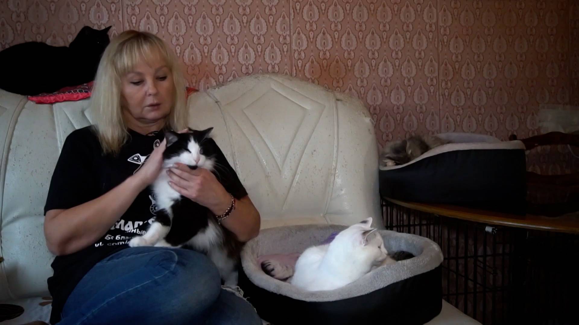 Бывшая актриса нижегородского театра создала приют для животных-инвалидов