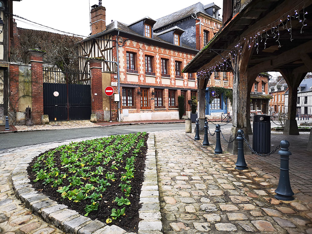 Лион-ла-Форе  – деревня, где охотились герцоги