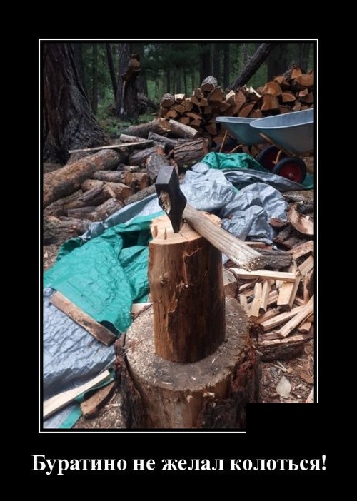 Подборка интересных и веселых картинок №62 Подборка интересных и веселых картинок №62 Отдых