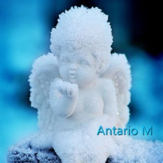 #бюропереводов