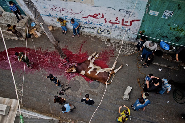 О чем рассказывают атмосферные фотографии лучших документальных фотографов современности О чем рассказывают атмосферные фотографии лучших документальных фотографов современности современные