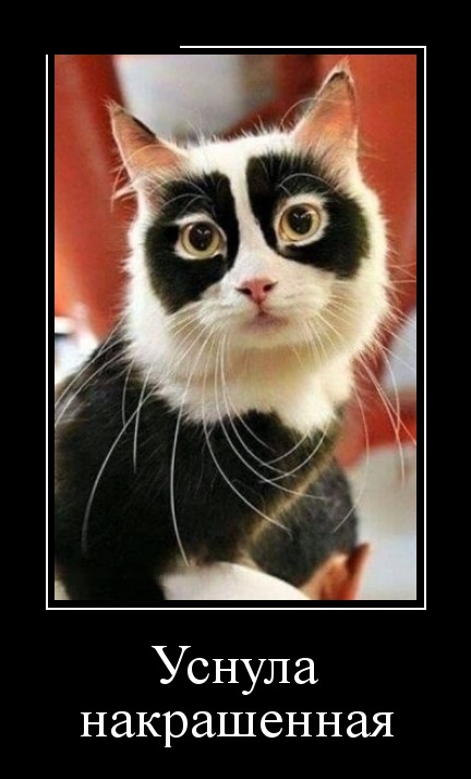 Позитивные и смешные демотиваторы для веселья и улыбки 