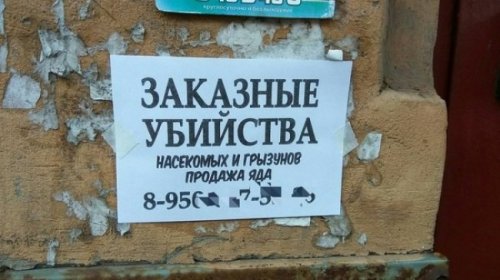 Смешные вывески, объявления и реклама (31 фото)
