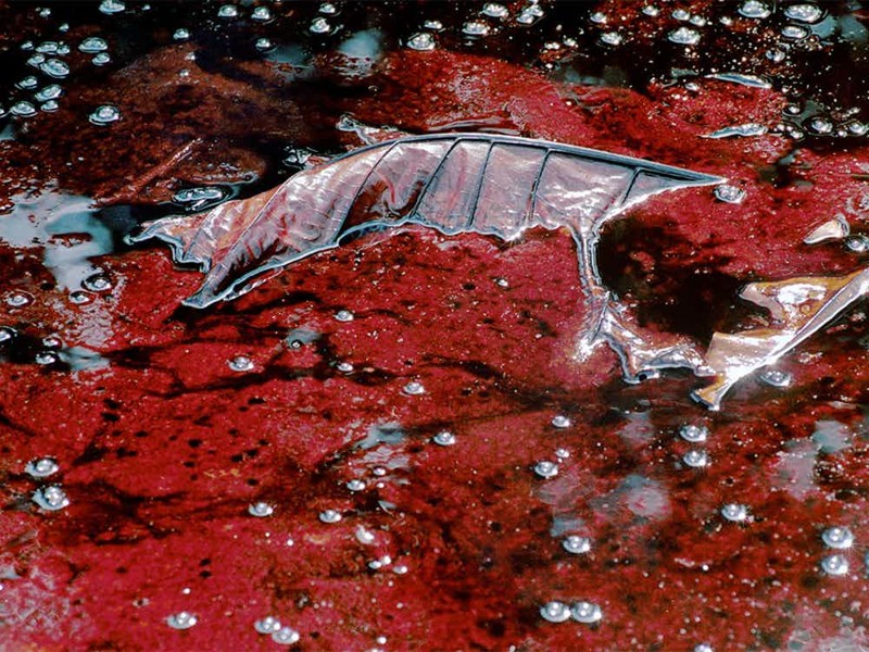 Острая проблема: самые загрязненные реки планеты