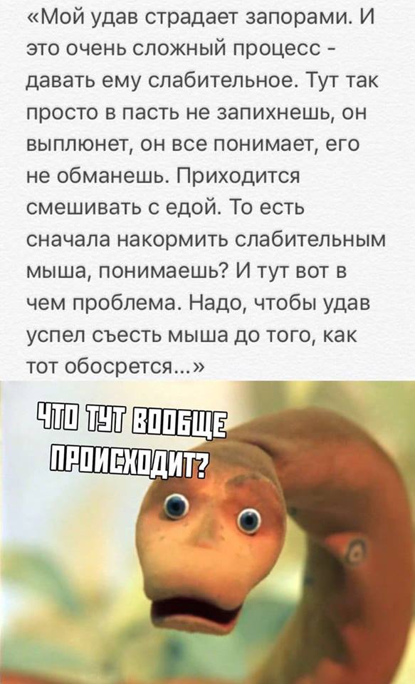 Извините, я вам на ногу наступил.. Извините, я вам на ногу наступил.. анекдоты,веселье,демотиваторы,приколы,смех,юмор