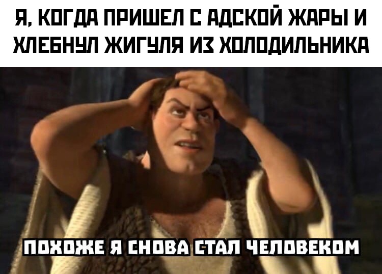 мемы про жару в россии 2021