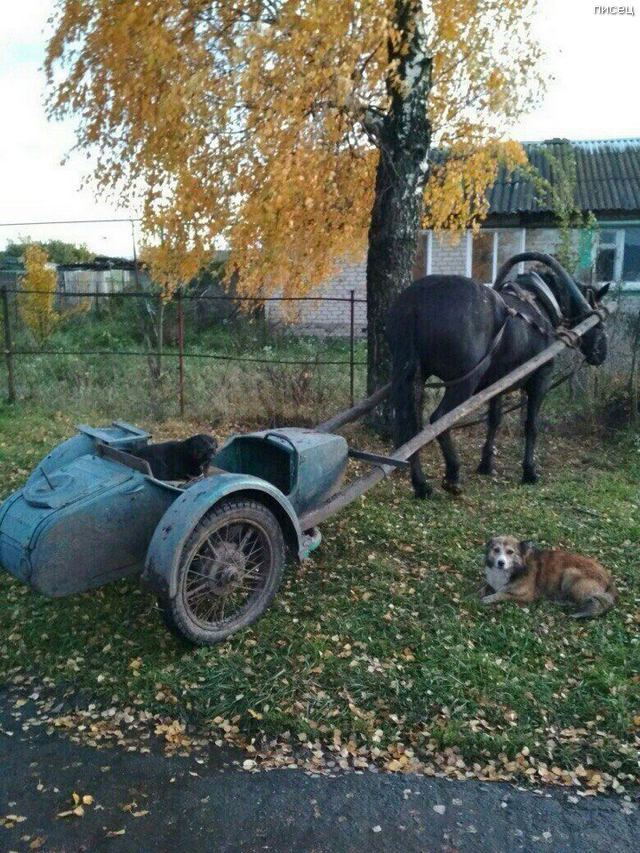 Деревенские приколы. Новые хиты! Деревенские приколы. Новые хиты! смешные картинки