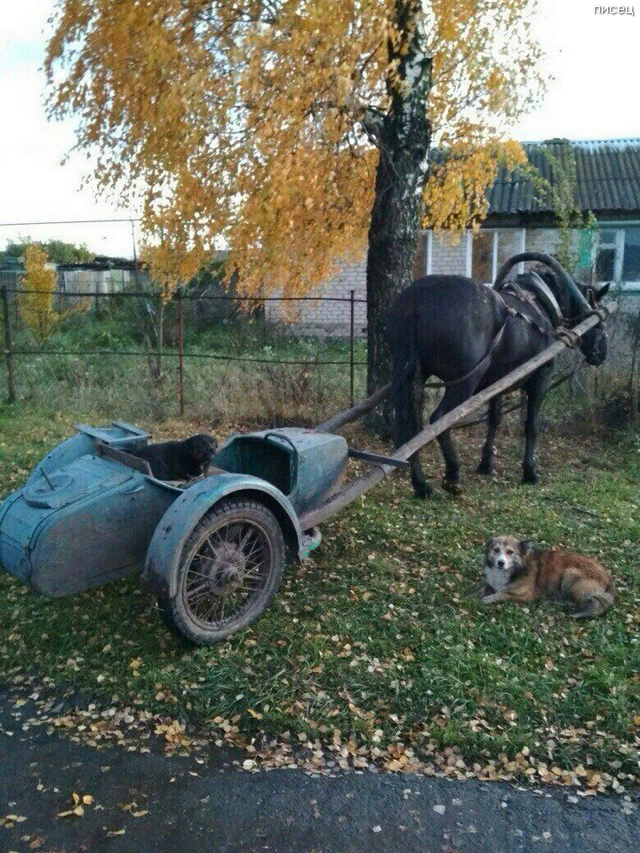 Деревенские приколы. Новые хиты! смешные картинки