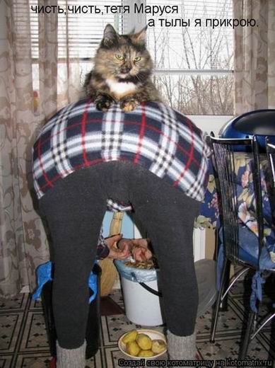 Мысли вслух :)