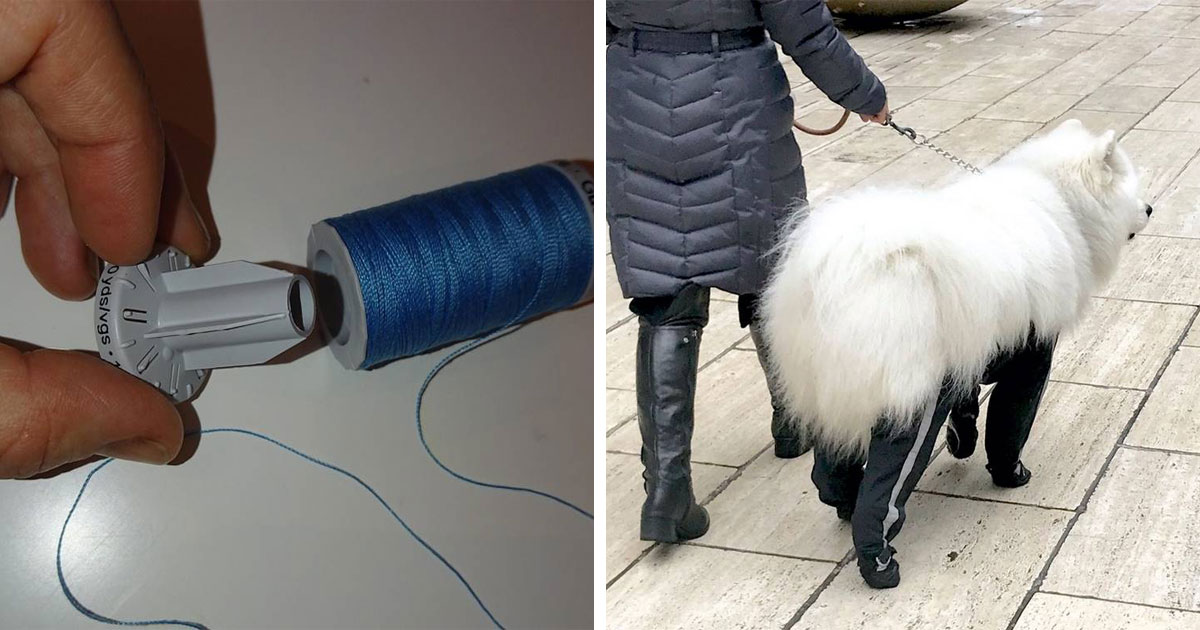 24 пользователя сети, которые стоят на пороге грандиозного открытия