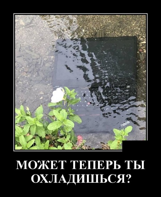 - Что означают пятна на Солнце? - Окна пора мыть! - Что означают пятна на Солнце? - Окна пора мыть! анекдоты,демотиваторы,приколы