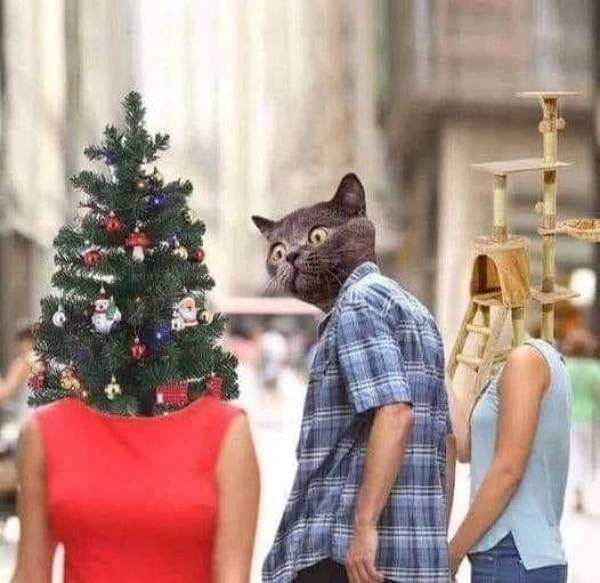 Подборка картинок. Вечерний выпуск  приколы,смешные картинки,юмор