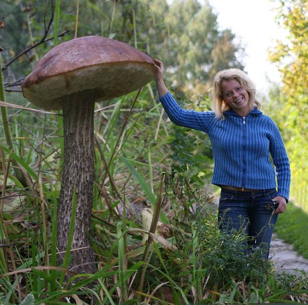 Подборка прикольных картинок  приколы,смешные картинки,юмор