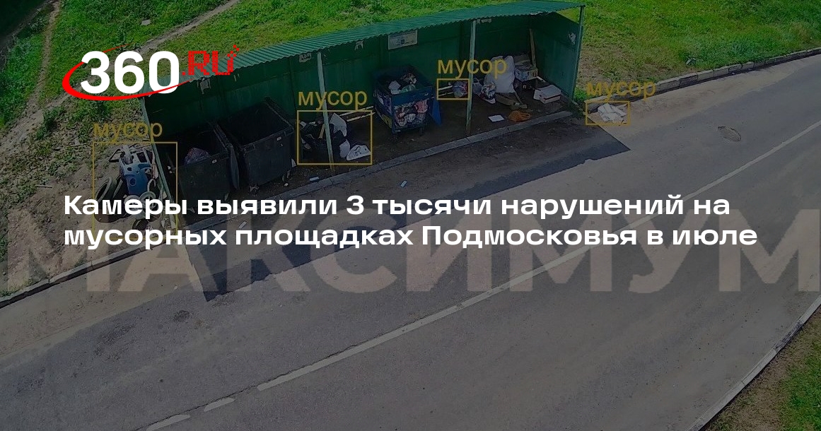 Камеры выявили 3 тысячи нарушений на мусорных площадках Подмосковья в июле