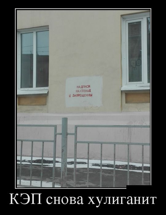 Демотиваторы выходного  дня 