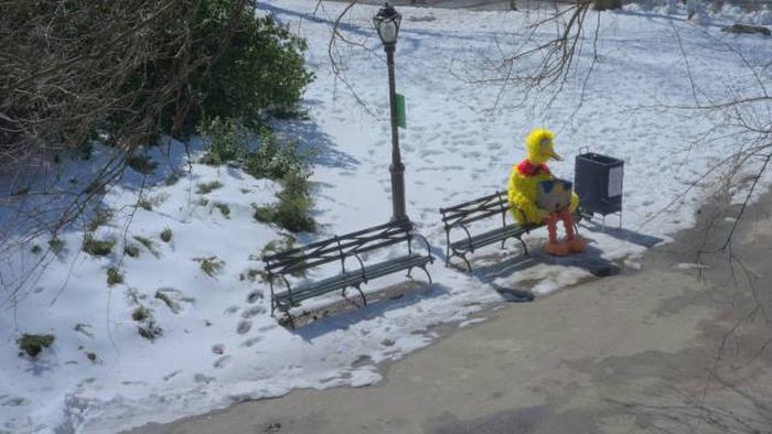 Прикольные картинки картинки из сети, прикол, юмор