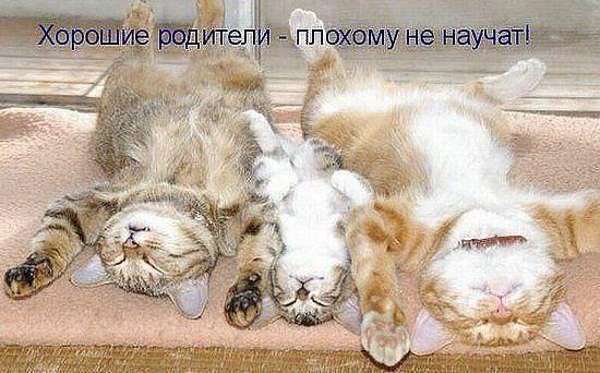 Давайте улыбаться вместе :) Давайте улыбаться вместе :)