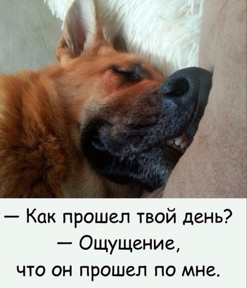 Татьяниным днем, картинки надписи смешные и позитивные