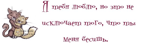 Позитивные картинки с прикольными фразками Позитивные картинки с прикольными фразками