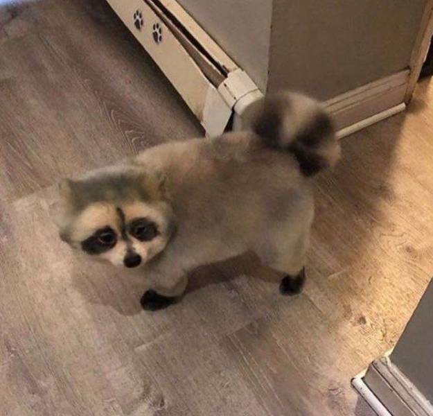 Подборка прикольных картинок Подборка прикольных картинок приколы,смешные картинки,юмор