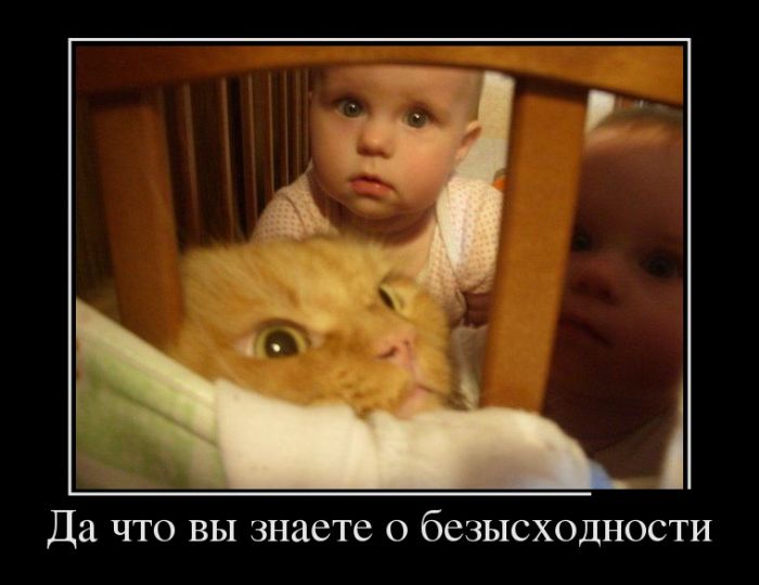 Демотиваторы (30 фото)