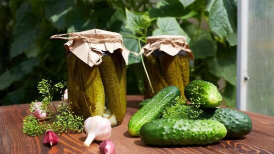 Свежие, малосольные, маринованные: какие огурцы можно и нельзя при гастрите