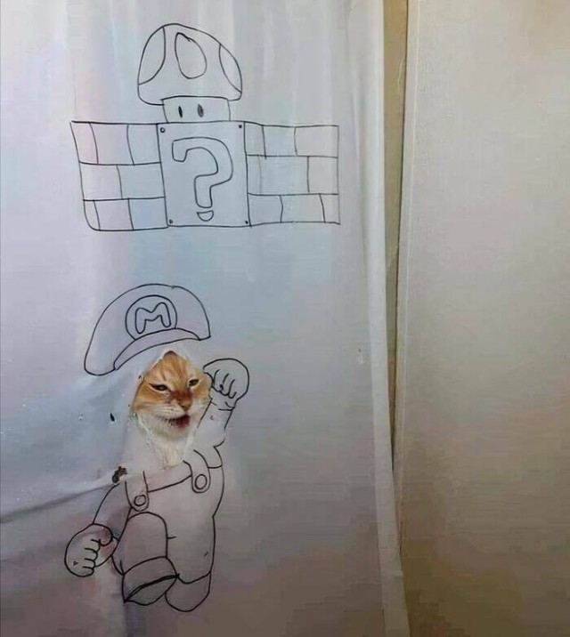 Очарование животных: моменты, которые заставляют улыбаться  