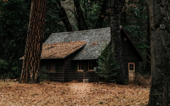 7 серьезных минусов, из-за которых многим не захочется иметь домик в лесу архитектура,идеи для дома