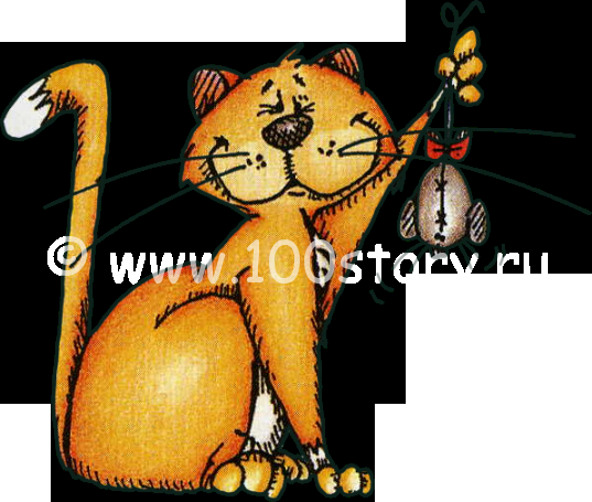 Кот-урбанист