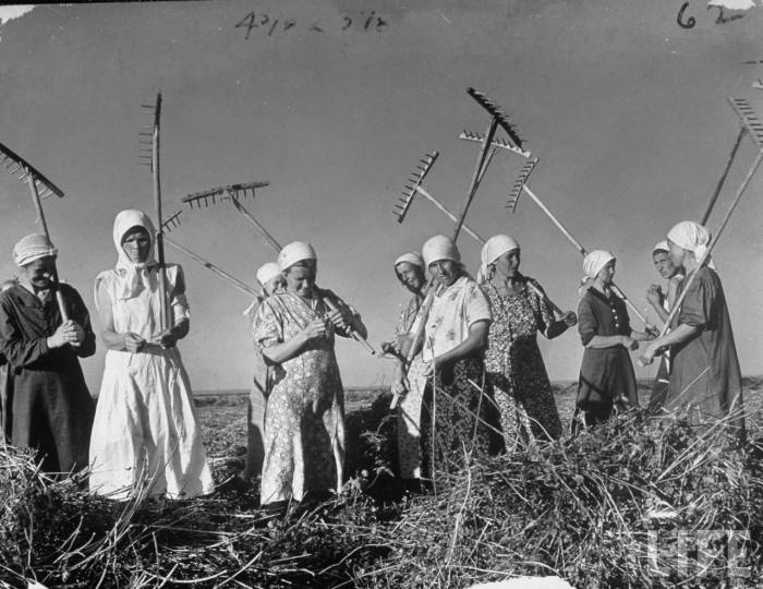 Украинские женщины убирают пшеницу в колхозе недалеко от Харькова. 