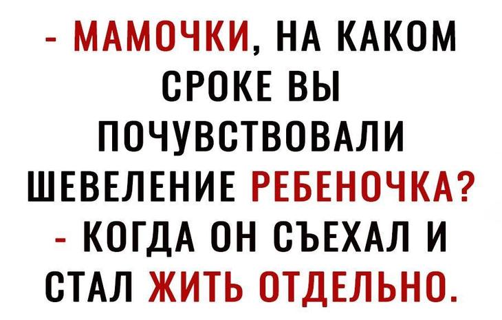 Шуточки и анекдоты в картинках, чтоб посмеяться от души 