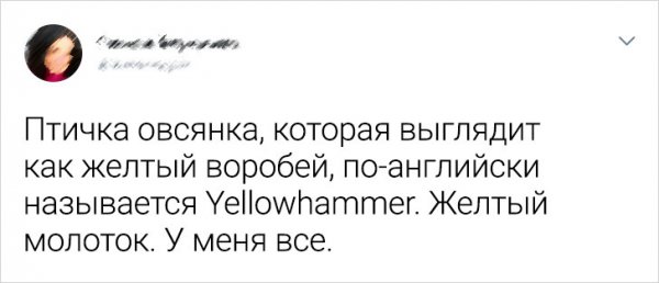 Подборка забавных твитов про иностранные языки