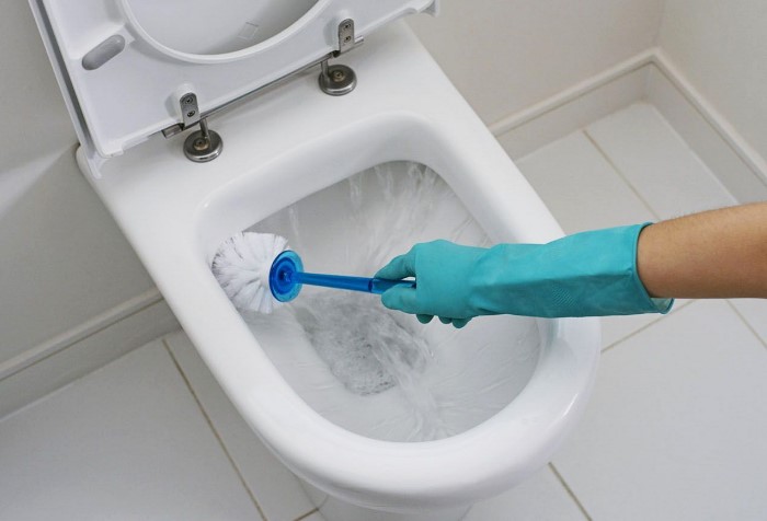 Регулярный уход за унитазом поможет избежать засора канализации / Фото: on-woman.com