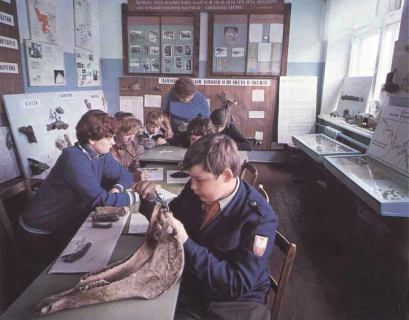  от царских указов до полной анархии