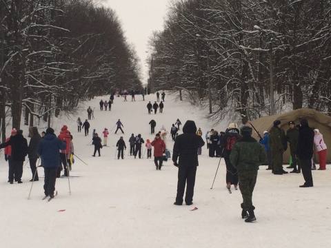 Нижегородские лыжники выступили против создания карьера на Дубравной