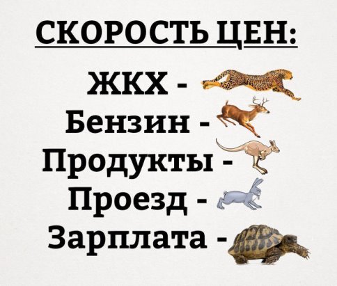   ,   ,     