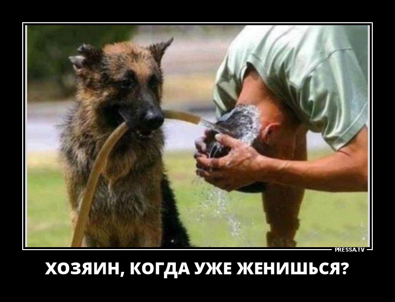 Забавные позитивные демотиваторы для хорошего настроения Забавные позитивные демотиваторы для хорошего настроения