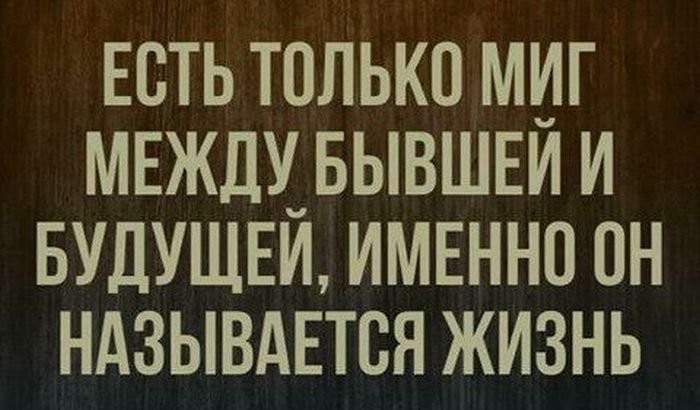 Очередная подборка картинок с подписями животные, картинки с подписями, подборка, позитив, юмор