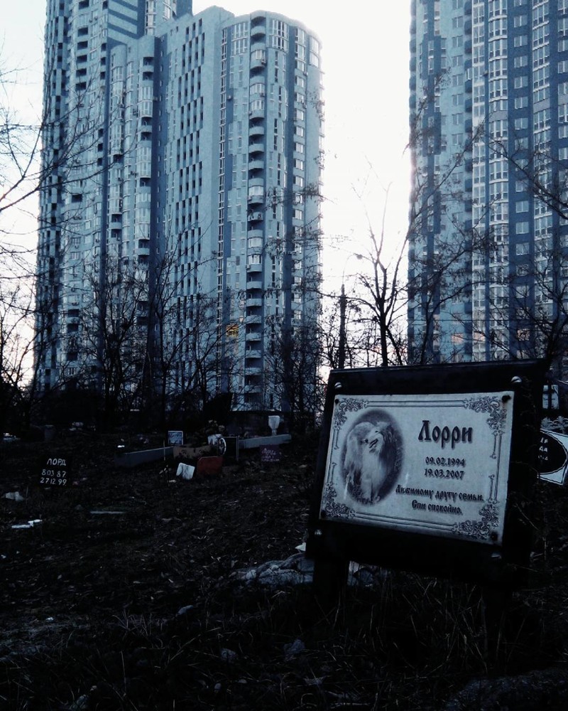 Кладбищенский юмор, который продлевает жизнь кладбище, прикол, смерть, юмор