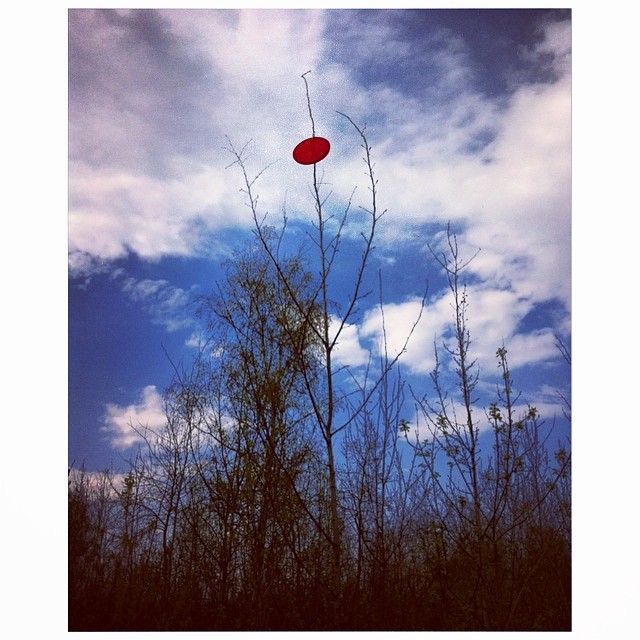 Весна пришла. Появляются первые листочки прикол, так много вопросов, что здесь происходит?