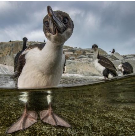 35 лучших фото от National Geographic за всю историю бренда Природа