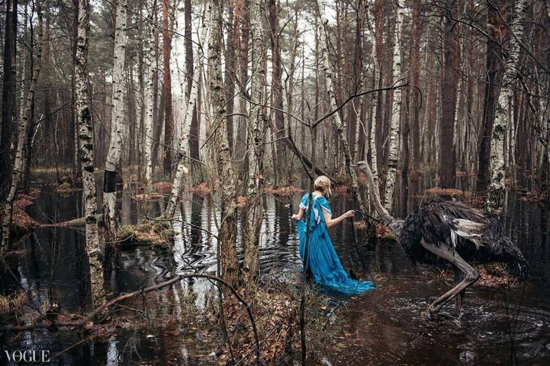 Люди и животные на снимках Ольги Баранцевой животные, люди, фотограф