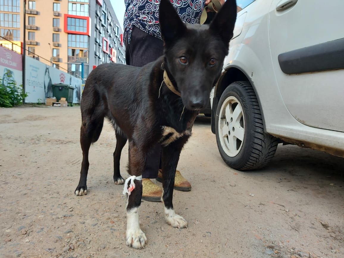 Приехали в клинику 