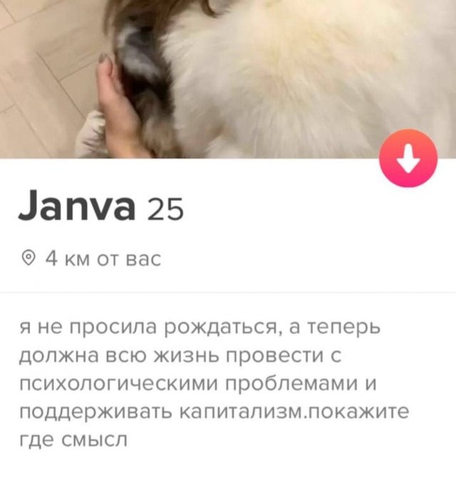 Забавные и смешные анкеты с сайтов знакомств Забавные и смешные анкеты с сайтов знакомств позитив,смешные картинки,юмор