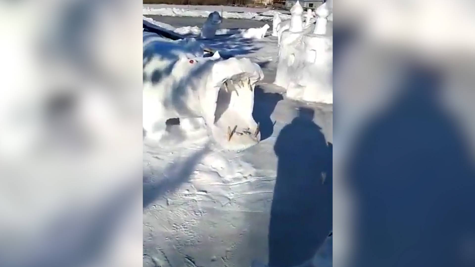 Пенсионер из Амурской области построил в огороде снежный развлекательный парк для детей