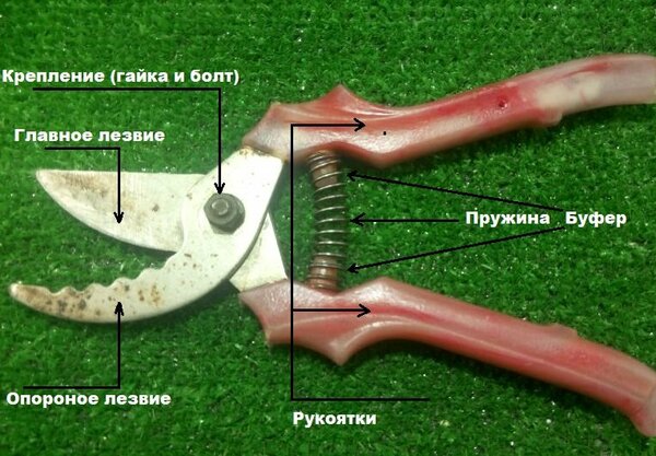 Как наточить секатор самостоятельно сделай сам,советы