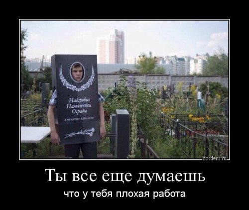 Свежая коллекция демотиваторов (15 шт)