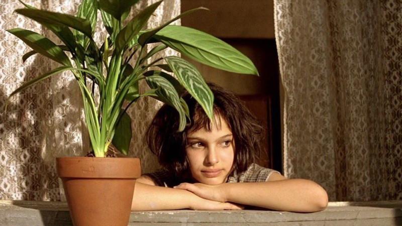 Никаких фикусов: 7 комнатных растений, полезных для иммунитета Никаких фикусов: 7 комнатных растений, полезных для иммунитета растение, ухаживать, растения, рассеянный, листья, полив, 20–25, можно, может, которые, листьями, зимой, аромат, кв мКак, формальдегид, выделяет, помогает, воздуха, кустарник, фитонциды