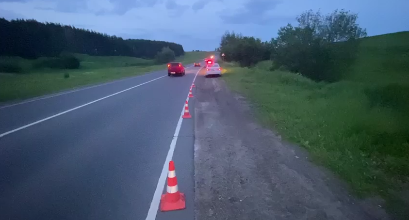В Нижегородской области мотоциклист уронил пассажира и бросил его на трассе